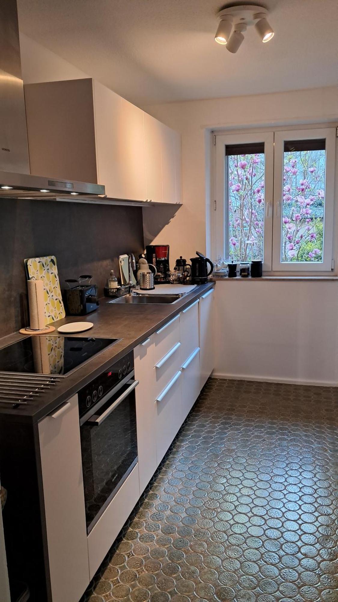 Wohnung Medicus, 3 Zkb, Balkon, Garten, Naehe Stadtpark, Ruhig Кайзерслаутерн Екстериор снимка